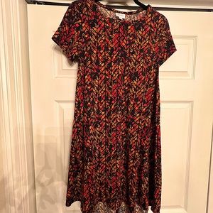 Lularoe Carly High Low fall print dress